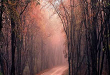 NG28:雷霆放走了“下一个哈登”,而他在公牛完成了蜕变!.