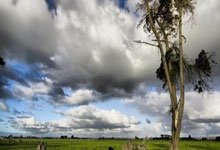 世界摔联积分赛地拉那站中国队1金1银3铜收官.