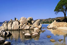 恰:这种水平每两三天踢一场不容易;世界杯是下一个目标.